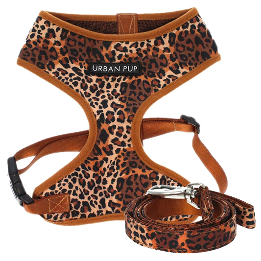 Wild Leopard Dog Harness XSmall and Lead