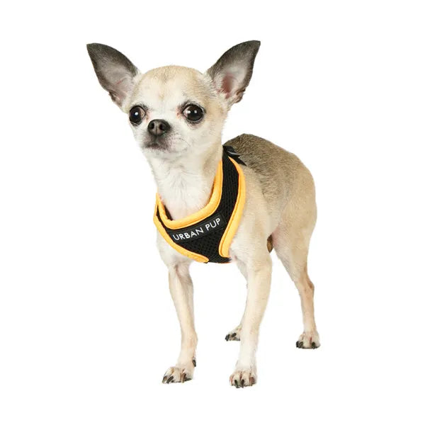 Active Mesh Dog Harness Orange - Sale - 1