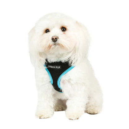 Active Mesh Neon Blue Dog Harness - Urban Pup - 2