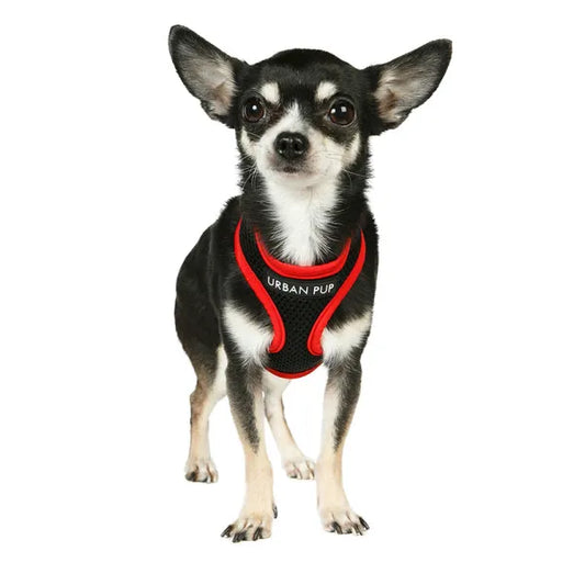 Active Mesh Neon Red Dog Harness - Sale - 1