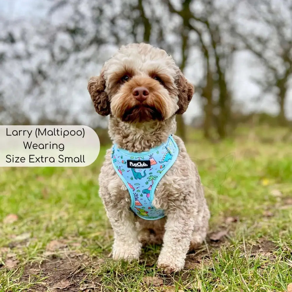 Jurassic Party Adjustable Dog Harness - Pupclub Couture - 3