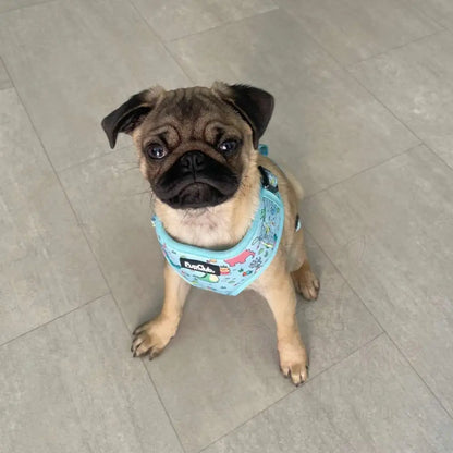 Jurassic Party Adjustable Dog Harness - Pupclub Couture - 5