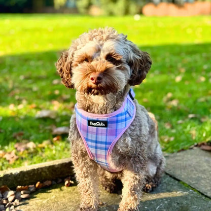 Adjustable Harness - Pink Tartan - Pupclub Couture - 3
