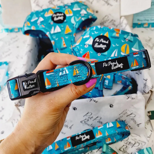 Ahoy Sea Puppy Dog Collar Small - Sale - 1