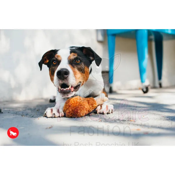 American Classic Fried Chicken Dog Toy by P.l.a.y - P.l.a.y - 2