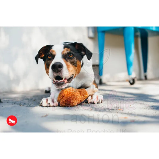 American Classic Fried Chicken Dog Toy by P.l.a.y - P.l.a.y - 2