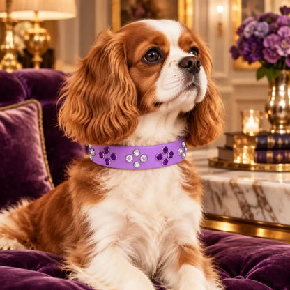 Amethyst Biothane Crystal Cluster Dog Collar - Poochie Fashion - 2