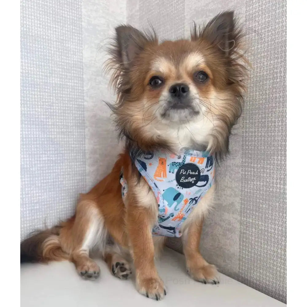 Doggie sales kingdom harness