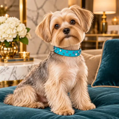 Aqua Biothane Crystal Confetti Dog Collar - Poochie Fashion - 2