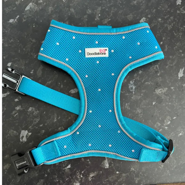 Aqua Crystal Dog Harness Xxl - Sale - 1