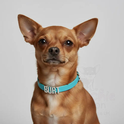 Aqua Waterproof Personalised Dog Collar with Chrome Letters - Poochie Fashion - 2