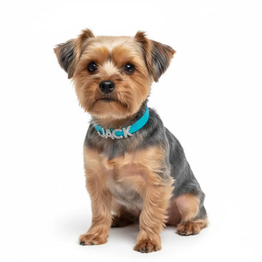 Aqua Waterproof Personalised Dog Collar with Large Diamante Letters - Poochie Fashion - 2