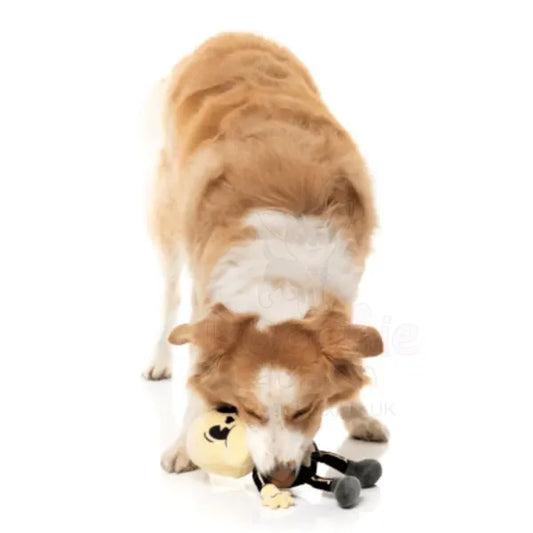 Arthur-itis Halloween Dog Toy by Fuzzyard - Fuzzyard - 2