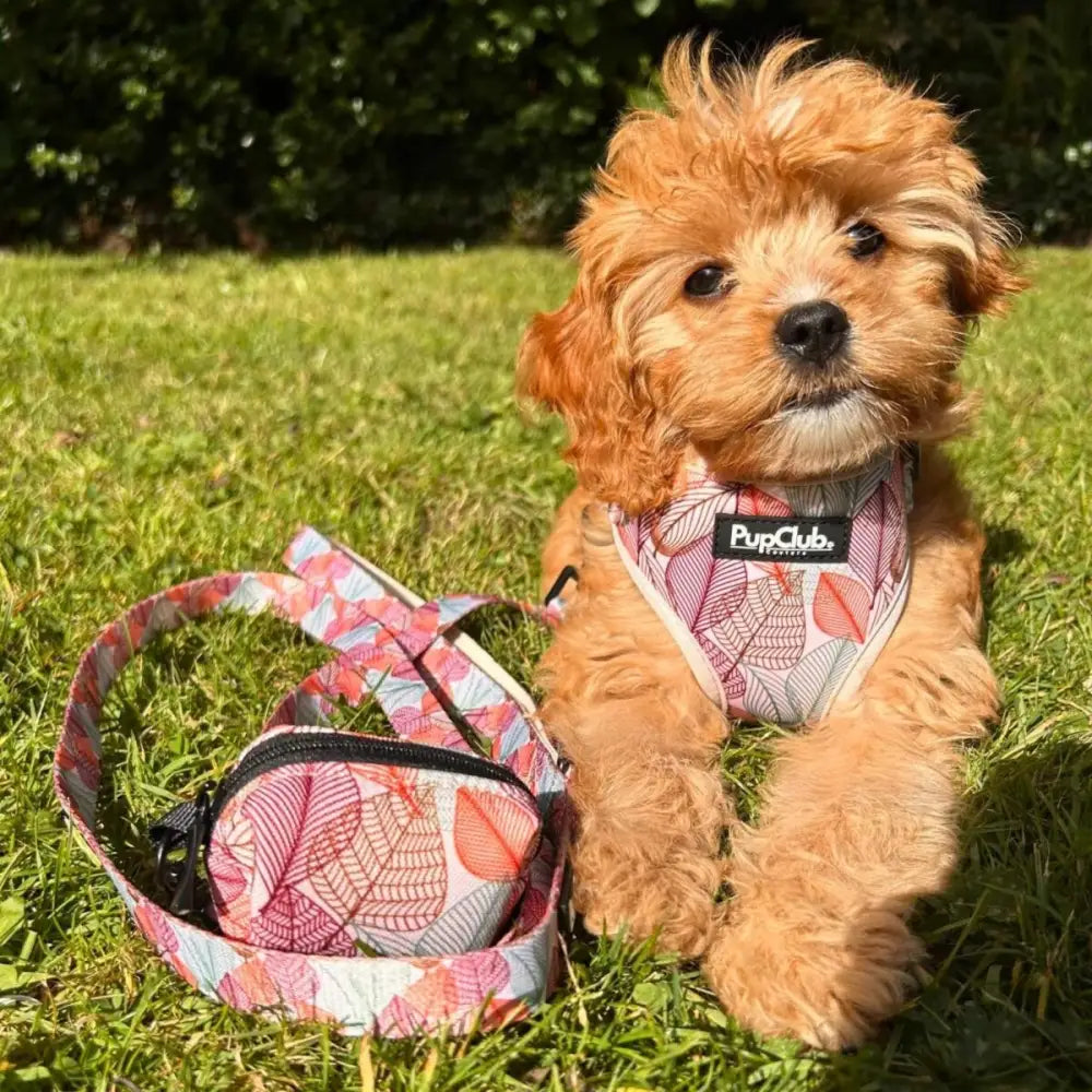 Autumn Breeze Dog Lead - Pupclub Couture - 2