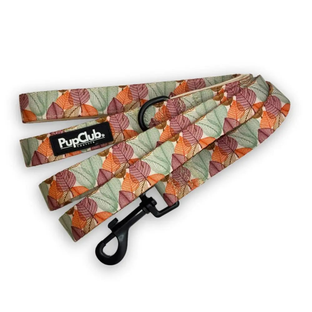 Autumn Breeze Dog Lead - Pupclub Couture - 1