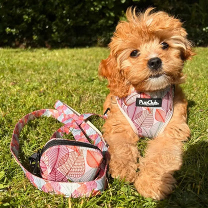 Autumn Breeze Dog Poo Bag Holder - Pupclub Couture - 3