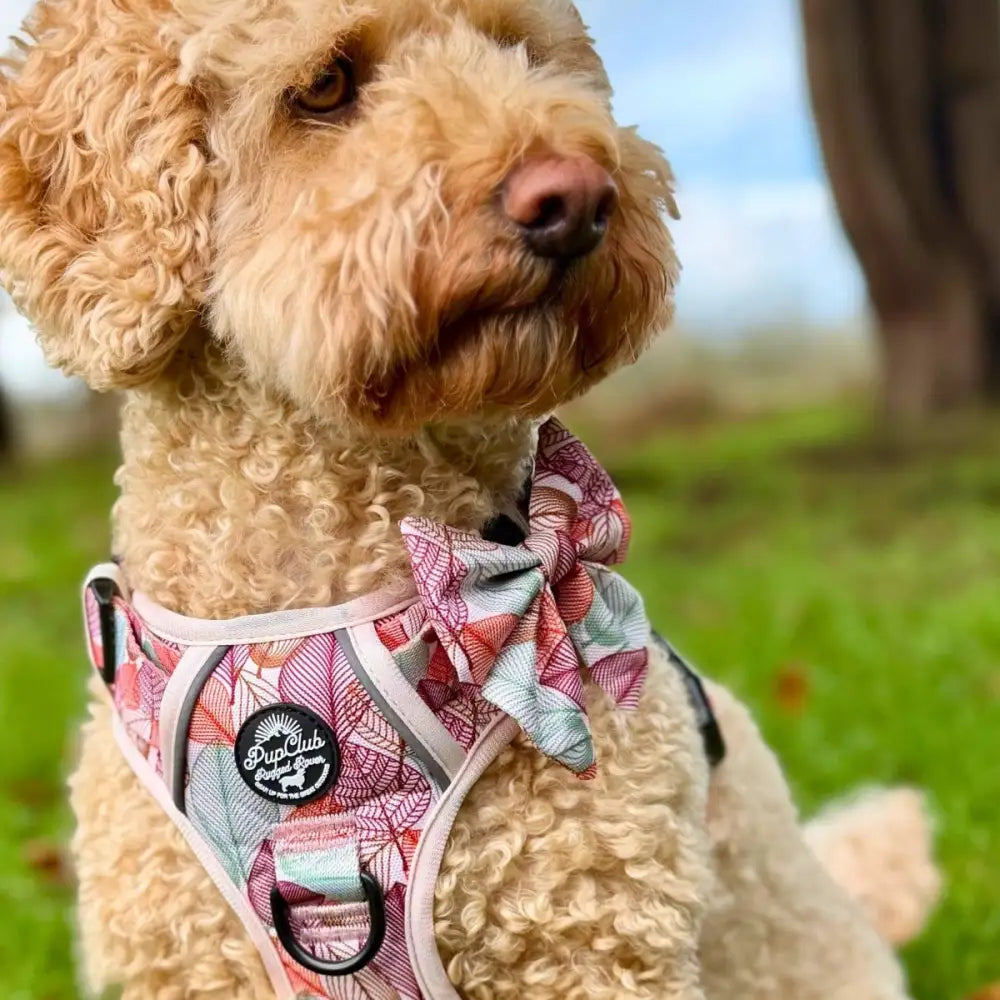 Autumn Breeze Dog Sailor Bow Tie - Pupclub Couture - 2