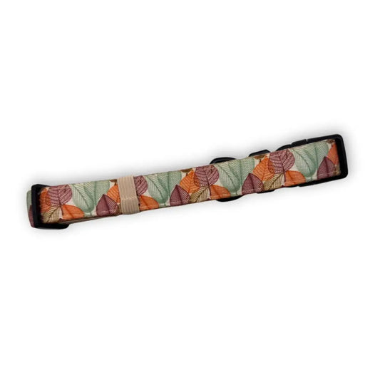 Autumn Breeze Padded Dog Collar - Pupclub Couture - 2