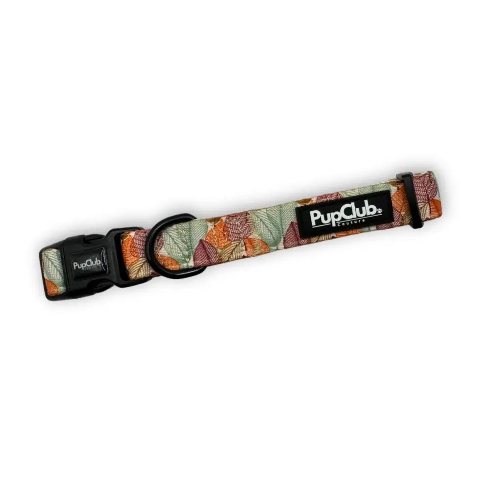 Autumn Breeze Padded Dog Collar - Pupclub Couture - 1