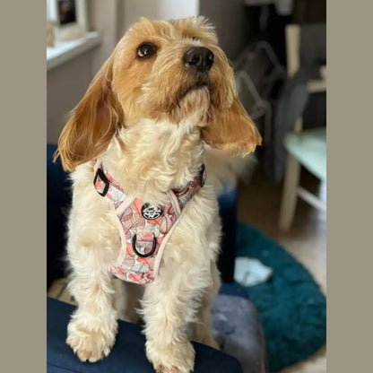 Autumn Breeze Rugged Rover™ Dog Harness - Pupclub Couture - 8
