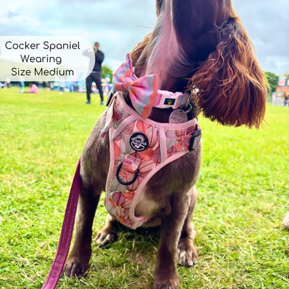 Autumn Breeze Rugged Rover™ Dog Harness - Pupclub Couture - 5