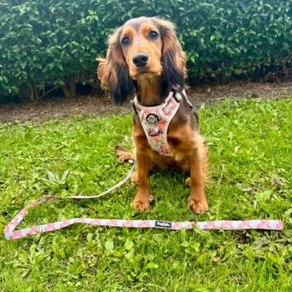 Autumn Breeze Rugged Rover™ Dog Harness - Pupclub Couture - 11