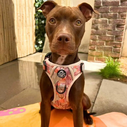 Autumn Breeze Rugged Rover™ Dog Harness - Pupclub Couture - 10