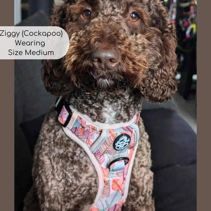 Autumn Breeze Rugged Rover™ Dog Harness - Pupclub Couture - 7