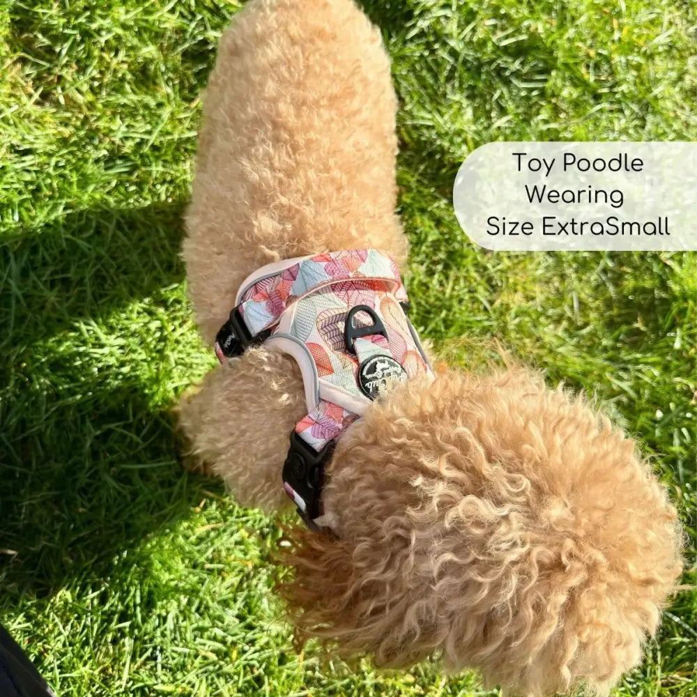 Autumn Breeze Rugged Rover™ Dog Harness - Pupclub Couture - 6