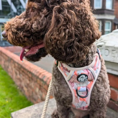 Autumn Breeze Rugged Rover™ Dog Harness - Pupclub Couture - 9