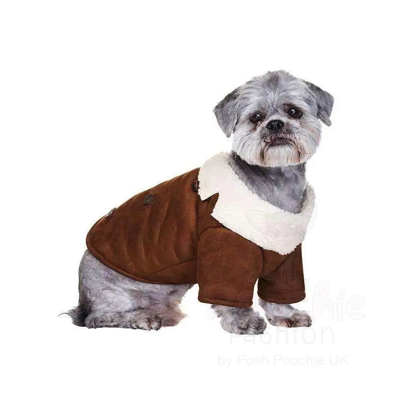 Aviator Faux Suede & Shearing Fleece Designer Dog Coat - Urban - 2