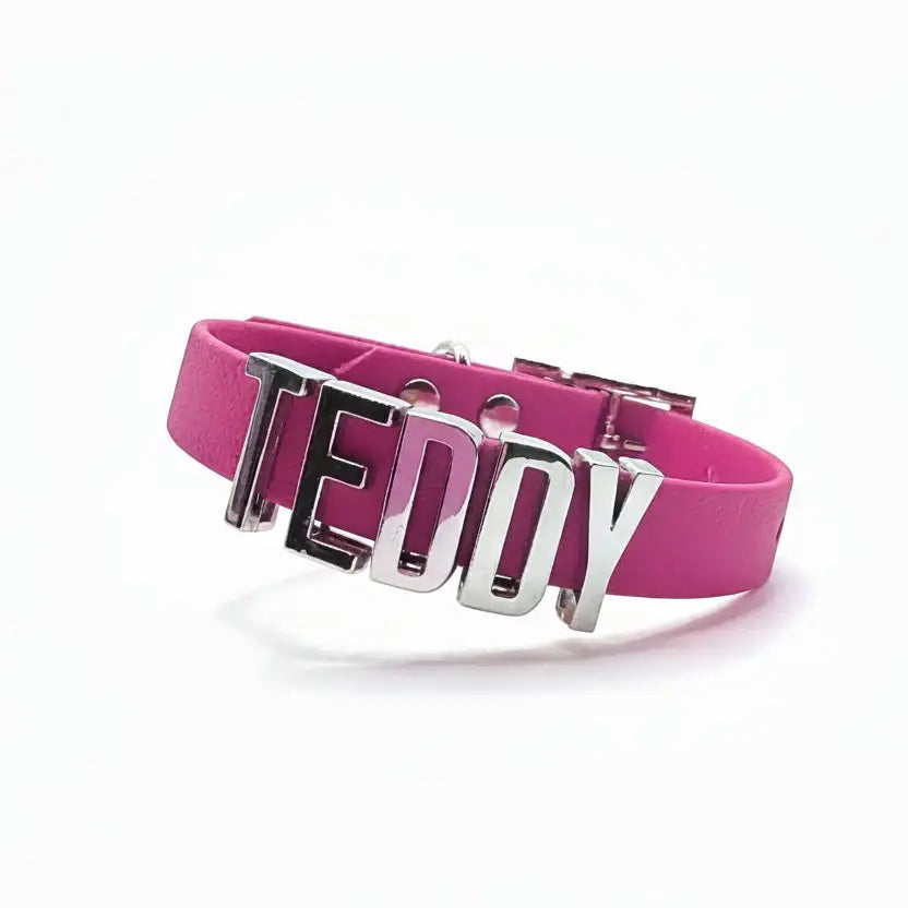 Hot Pink Waterproof Personalised Dog Collar with Large Chrome Letters - Poochie Fashion - 1