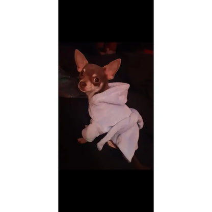 Baby Blue Plush And Fluffy Dog Bathrobe - Urban Pup 5