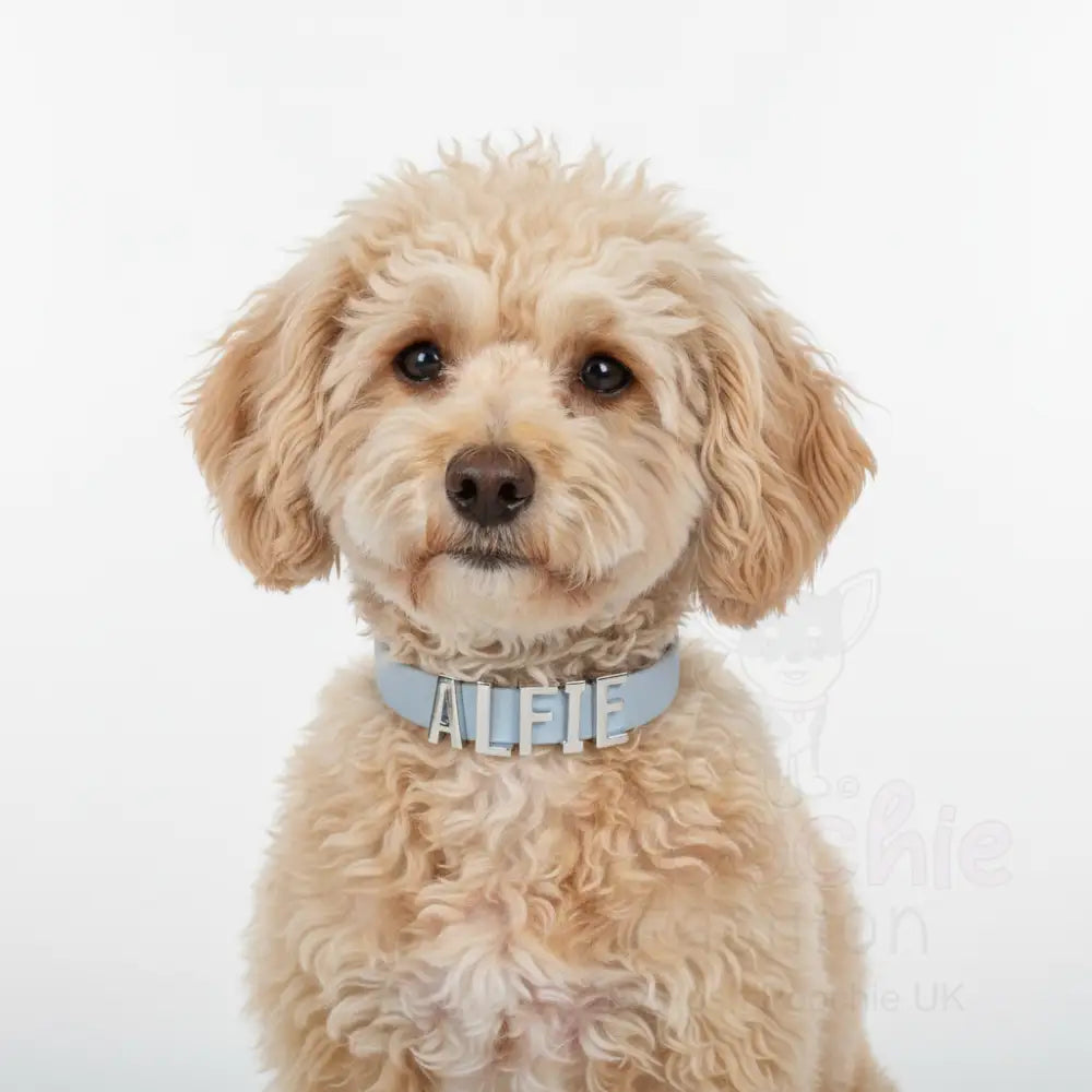 Baby Blue Waterproof Personalised Dog Collar with Chrome Letters - Poochie Fashion - 3