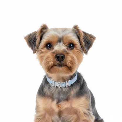 Baby Blue Waterproof Personalised Dog Collar with Large Diamante Letters - Poochie Fashion - 2