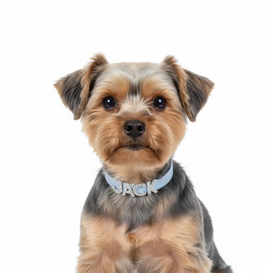 Baby Blue Waterproof Personalised Dog Collar with Large Diamante Letters - Poochie Fashion - 2