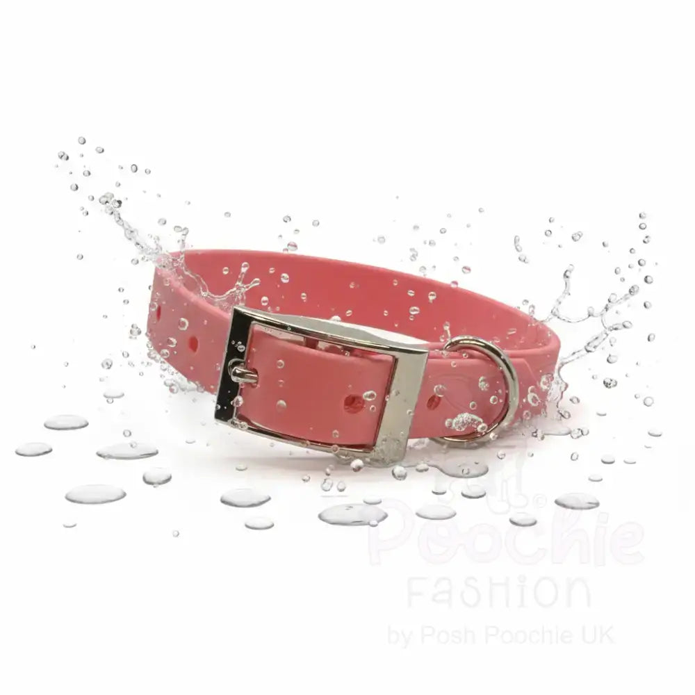 Baby Pink Waterproof Personalised Dog Collar with Chrome Letters - Poochie Fashion - 4