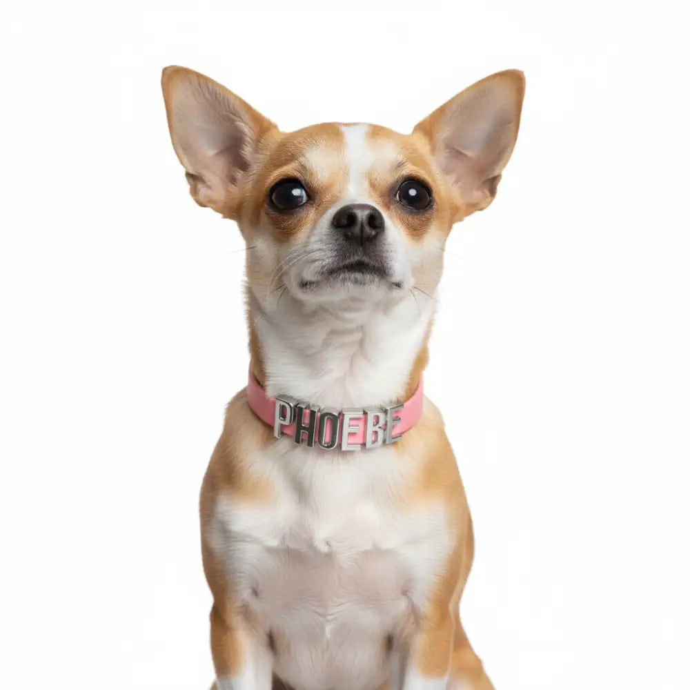 Baby Pink Waterproof Personalised Dog Collar with Large Chrome Letters - Poochie Fashion - 2