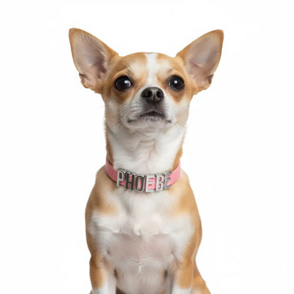Baby Pink Waterproof Personalised Dog Collar with Large Chrome Letters - Poochie Fashion - 2