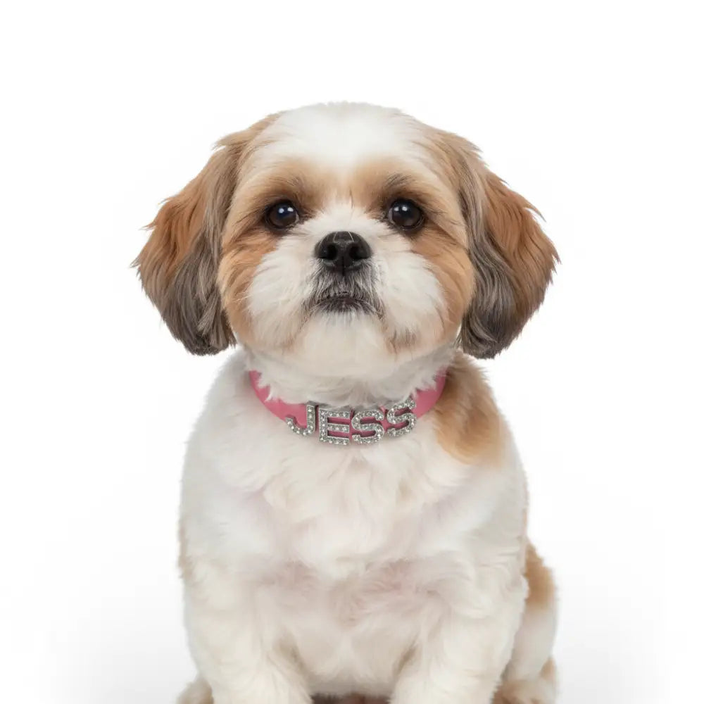 Baby Pink Waterproof Personalised Dog Collar with Large Diamante Letters - Poochie Fashion - 3