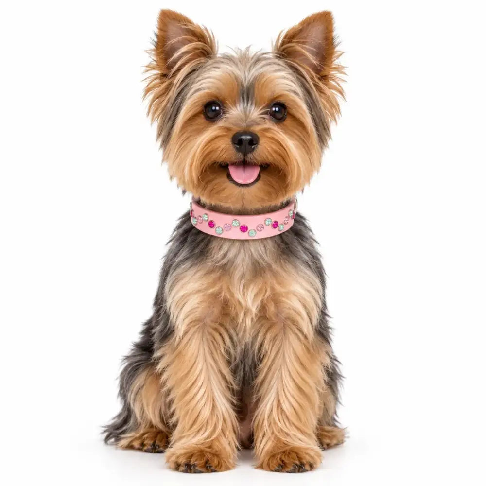 Baby Pink Zig Zag Crystal Biothane Dog Collar - Poochie Fashion - 2