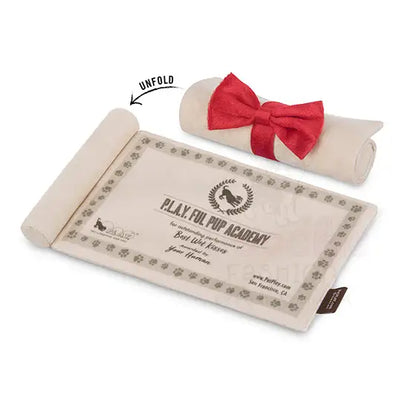 Back to School K9 Scholar Hat and Diploma Dog Toy by P.l.a.y - P.l.a.y - 3