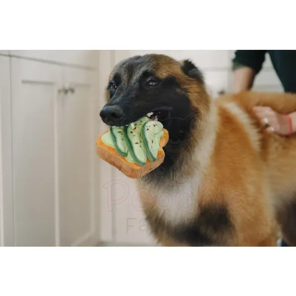 Barking Brunch Avo-doggo Toast Dog Toy by P.l.a.y - P.l.a.y - 4