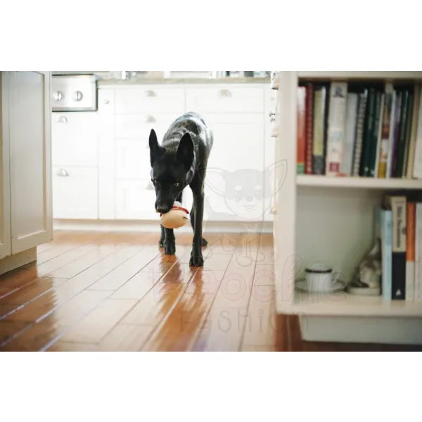 Barking Brunch Benny’s Benedict Dog Toy by P.l.a.y - P.l.a.y - 6