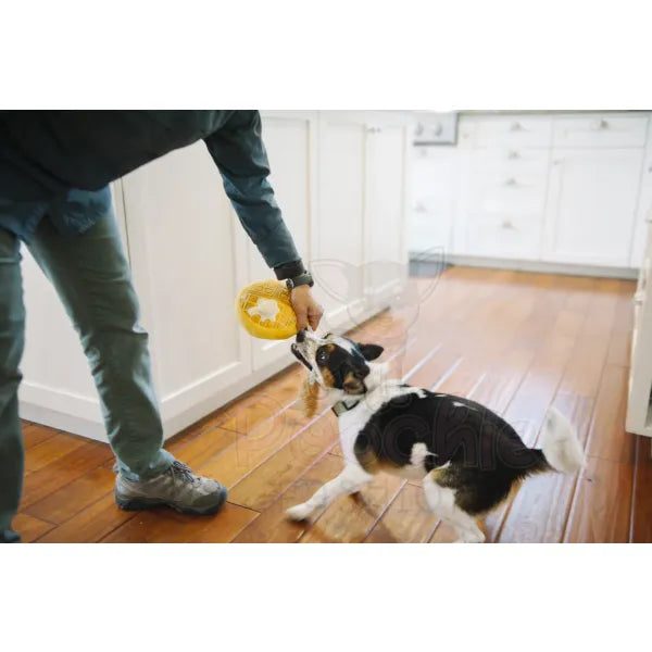 Barking Brunch Chicken and Woofles Dog Toy by P.l.a.y - P.l.a.y - 6