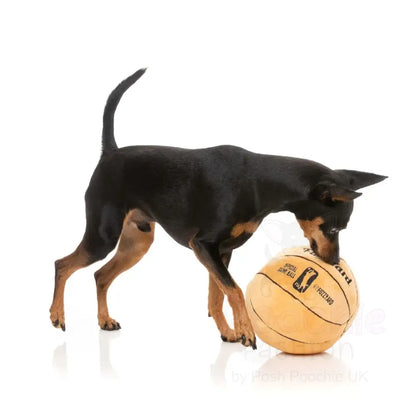 Basketball Dog Toy by Fuzzyard - Fuzzyard - 3