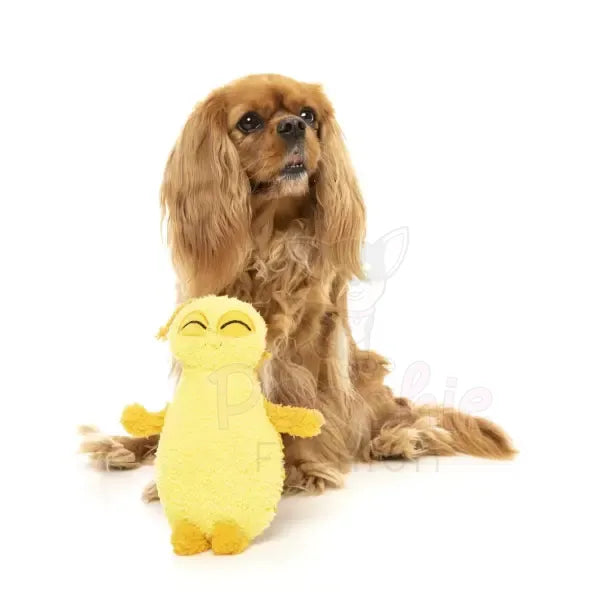 Belly the Bed Bug Dog Toy by Fuzzyard - Fuzzyard - 2