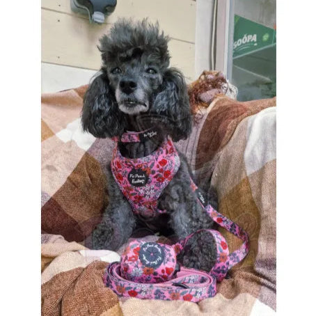Berry Blossom Floral Dog Harness Pet Pooch 2