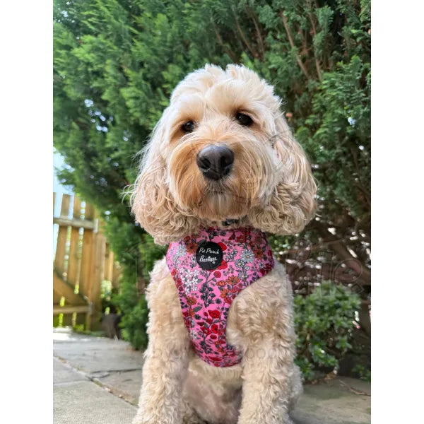 Berry Blossom Floral Dog Harness Pet Pooch 3