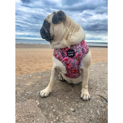 Berry Blossom Floral Dog Harness - Pet Pooch - 4